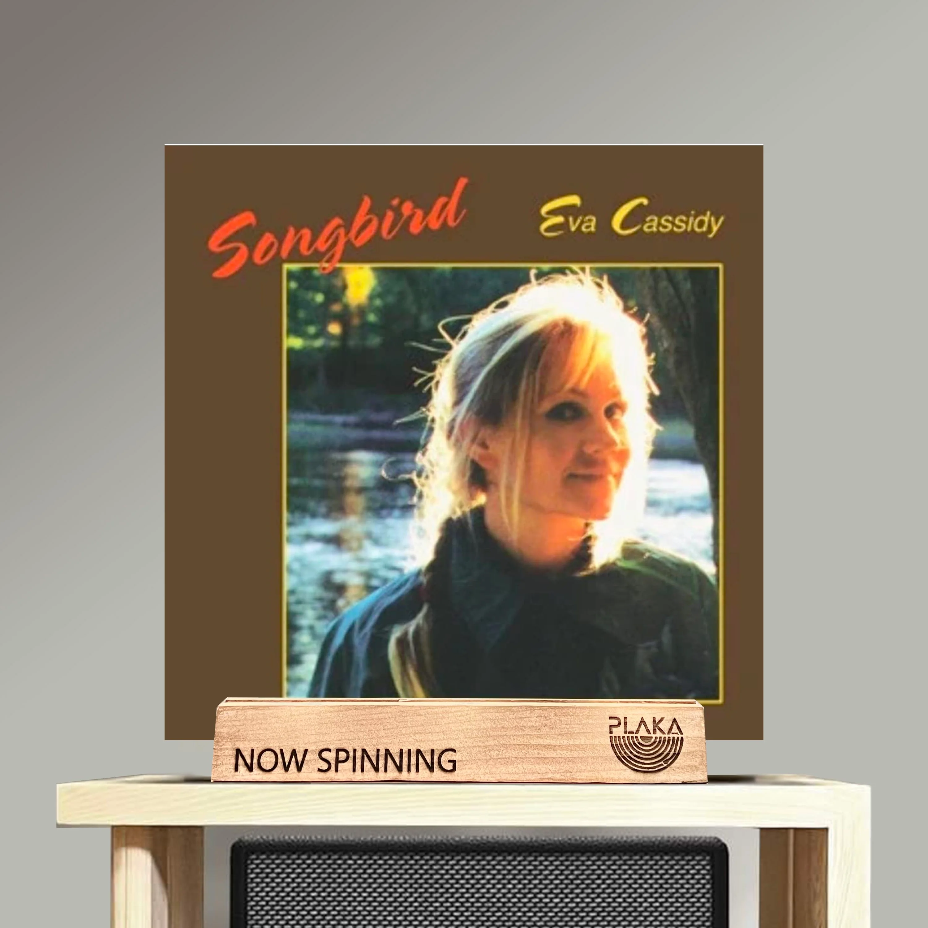 Eva Cassidy - Songbird