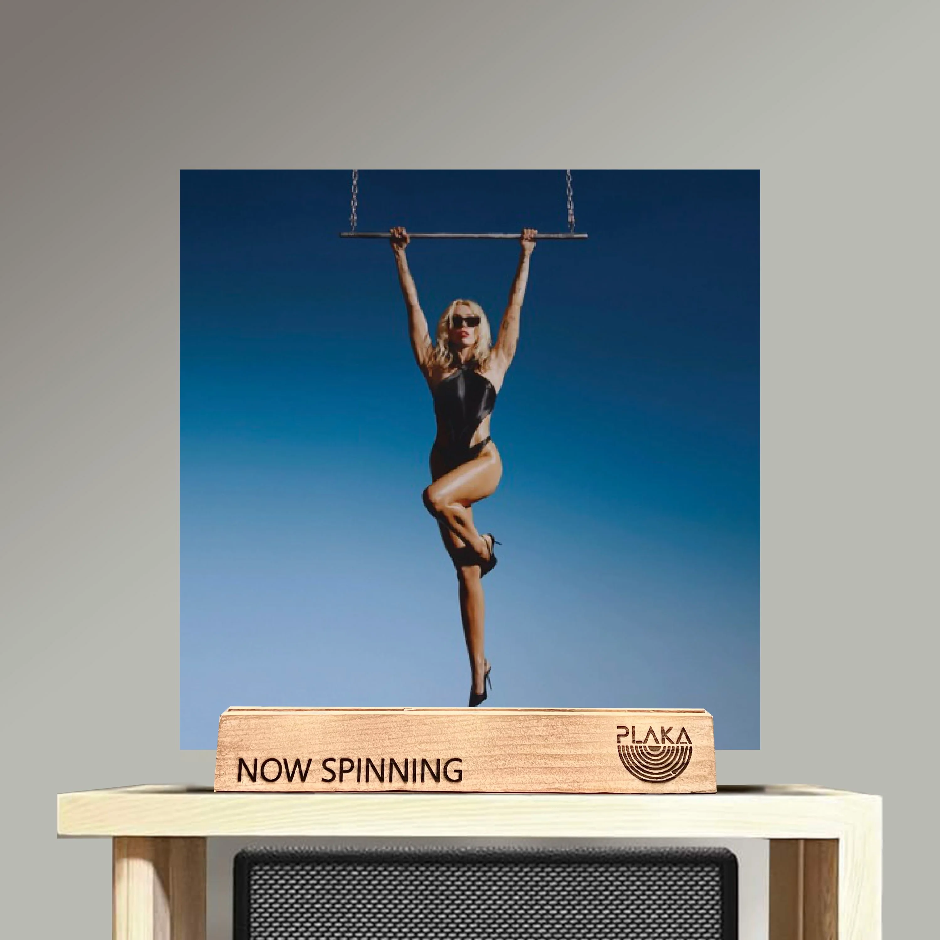 Miley Cyrus - Endless Summer Vacation