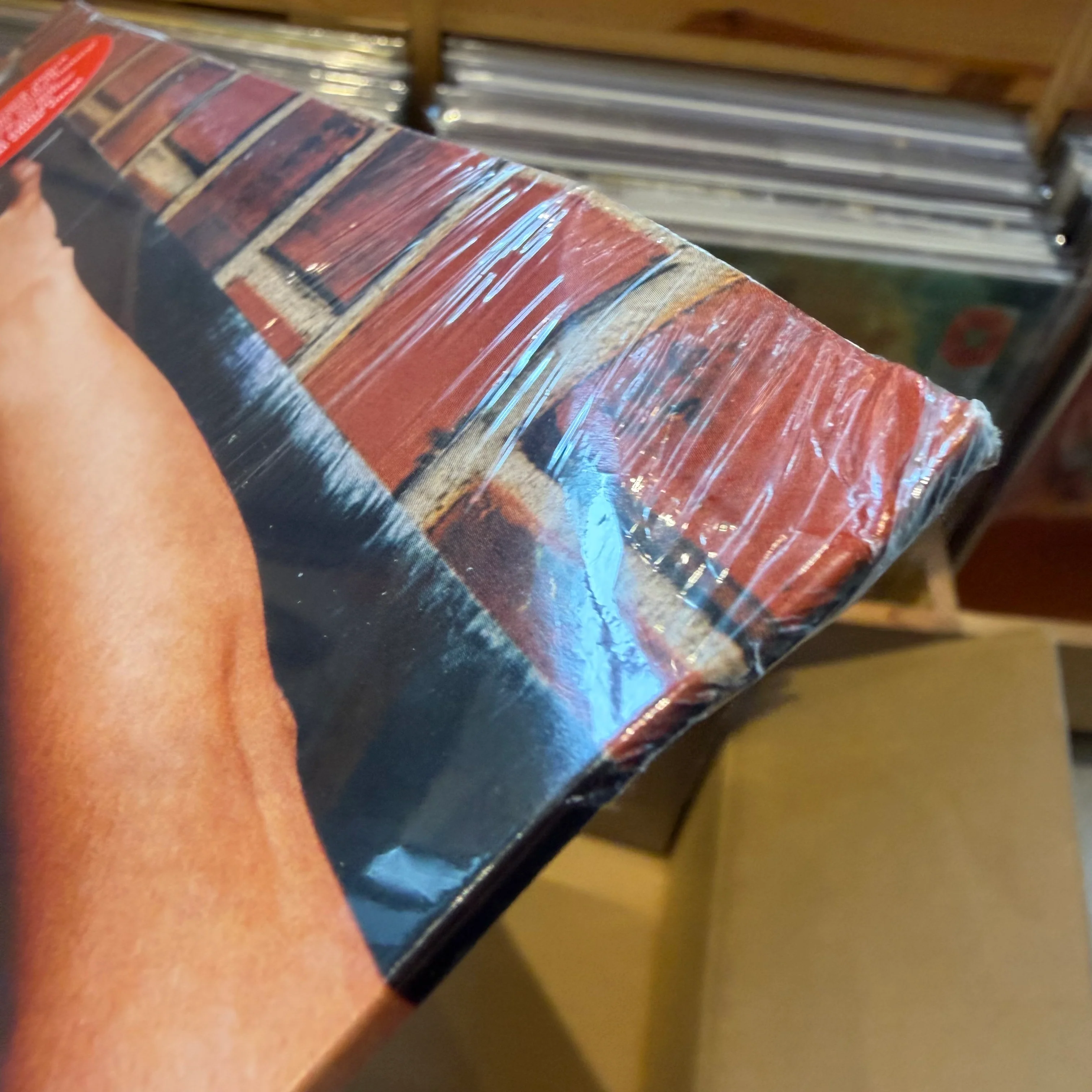Phoenix - United (RSD) - Image 2