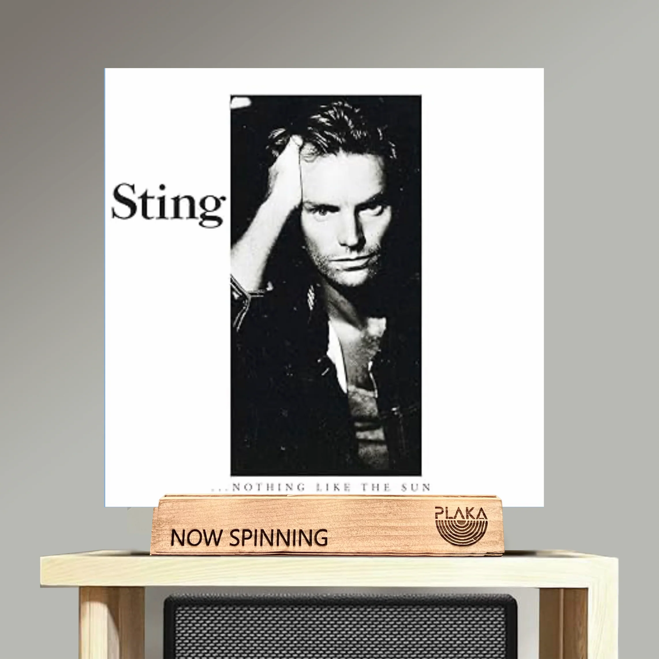 Sting - Nothing Like The Sun