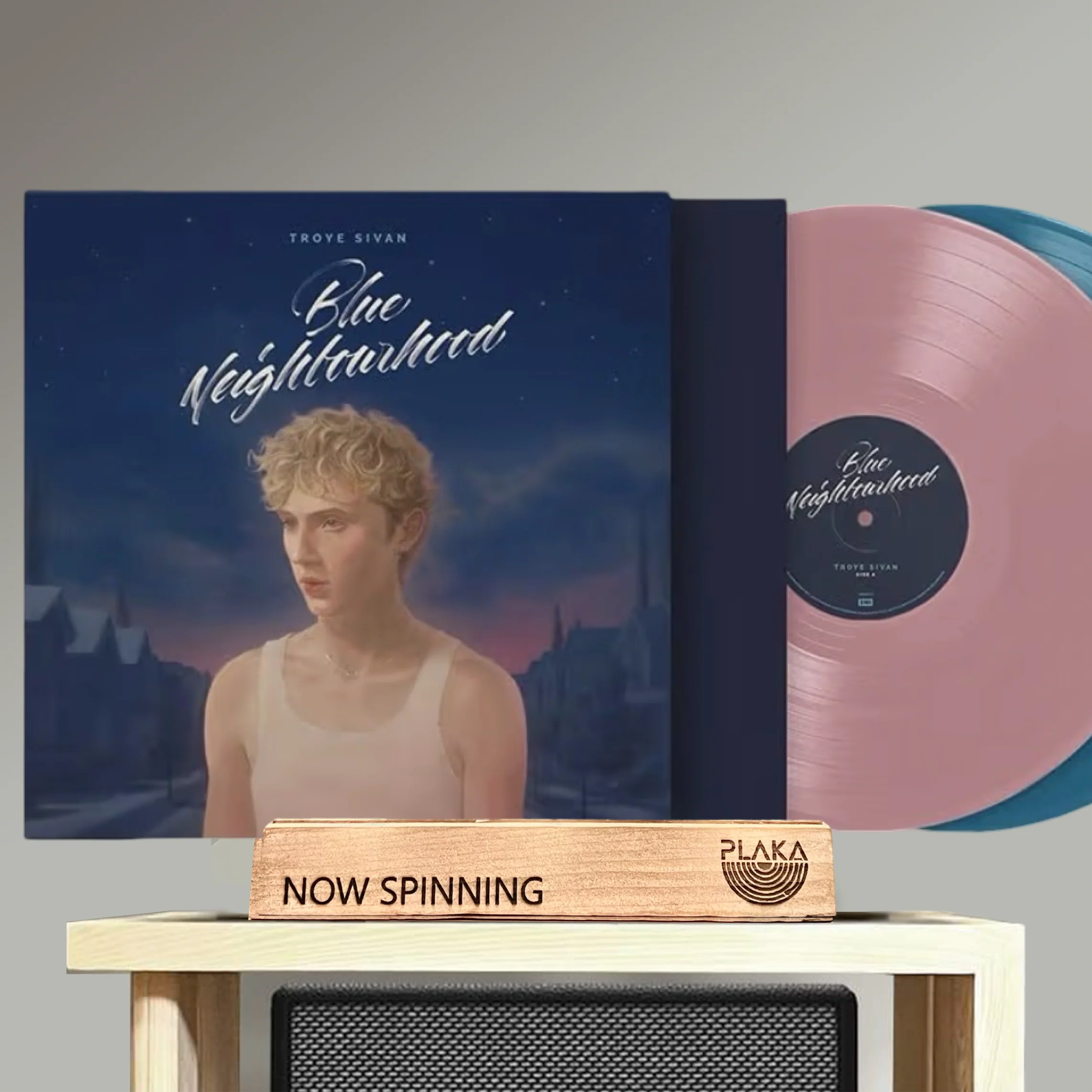 Troye Sivan - Blue Neighborhood (10th anniv)