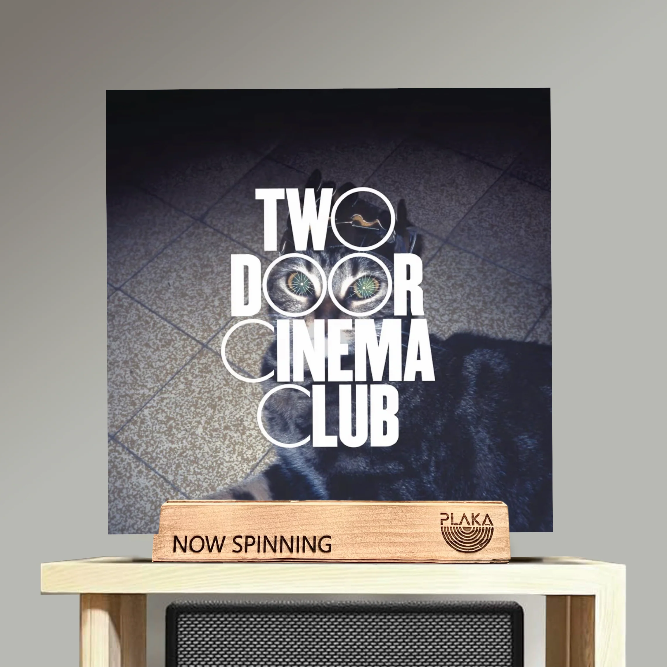 Two Door Cinema Club - Tourist History